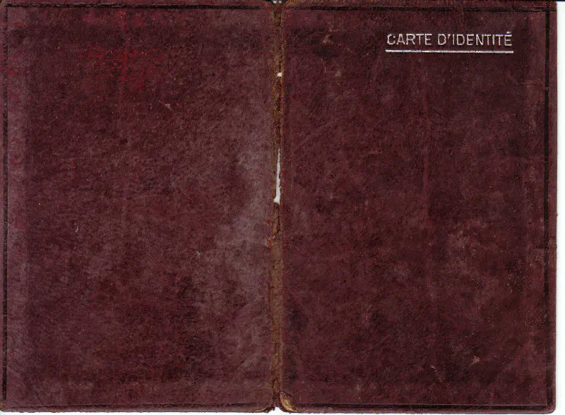 Carte d'identité - 1915 - Blanche AUBRY épouse PLAISANT