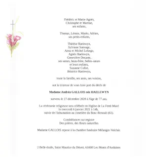 Andrea HAELEWYN 27/12/2020